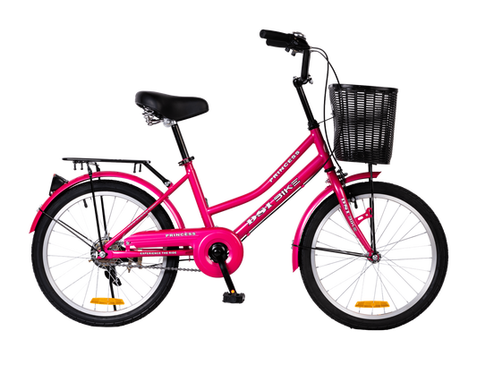 DSI 20" Lady Economate Series PRINCESS Bike