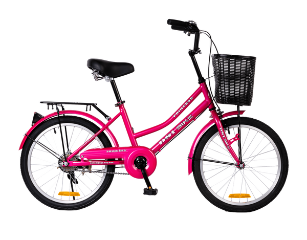 DSI 20" Lady Economate Series PRINCESS Bike