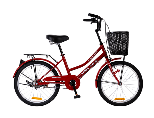 DSI 20" Lady Economate Series PRINCESS Bike