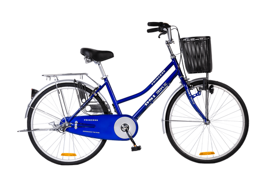 DSI 24" Lady PRINCESS Bike