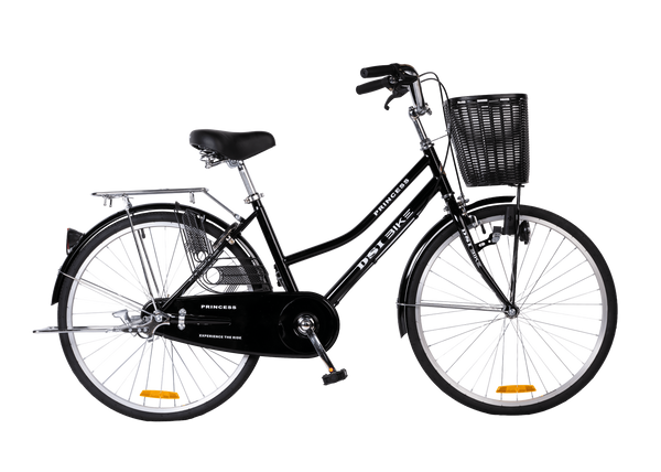 DSI 24" Lady PRINCESS Bike