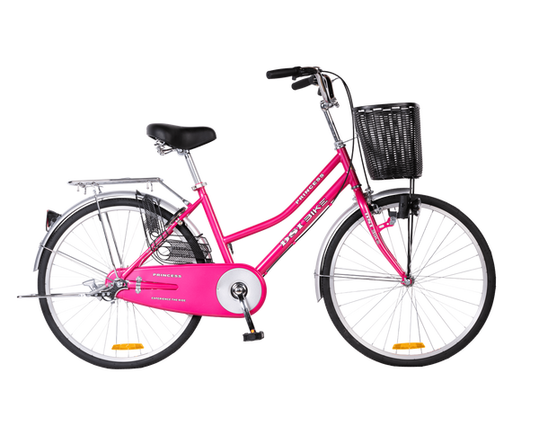 DSI 24" Lady PRINCESS Bike