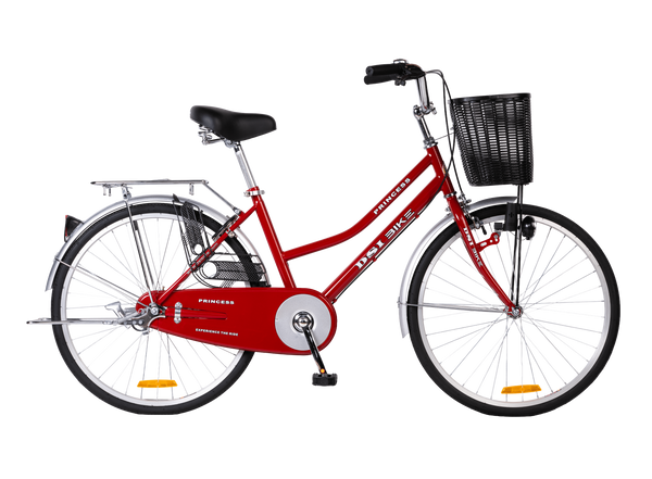 DSI 24" Lady PRINCESS Bike